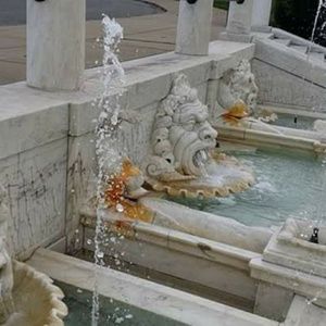 Meet your Posher, Timothy